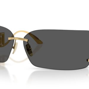 GAFAS DE SOL DG 2319 02/87 DOLCE&GABBANA