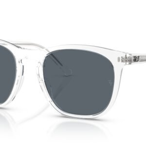 GAFAS DE SOL RB 2210 6447/R5 RAY BAN