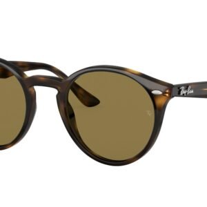 GAFAS DE SOL RB 2180 710/73 RAY-BAN